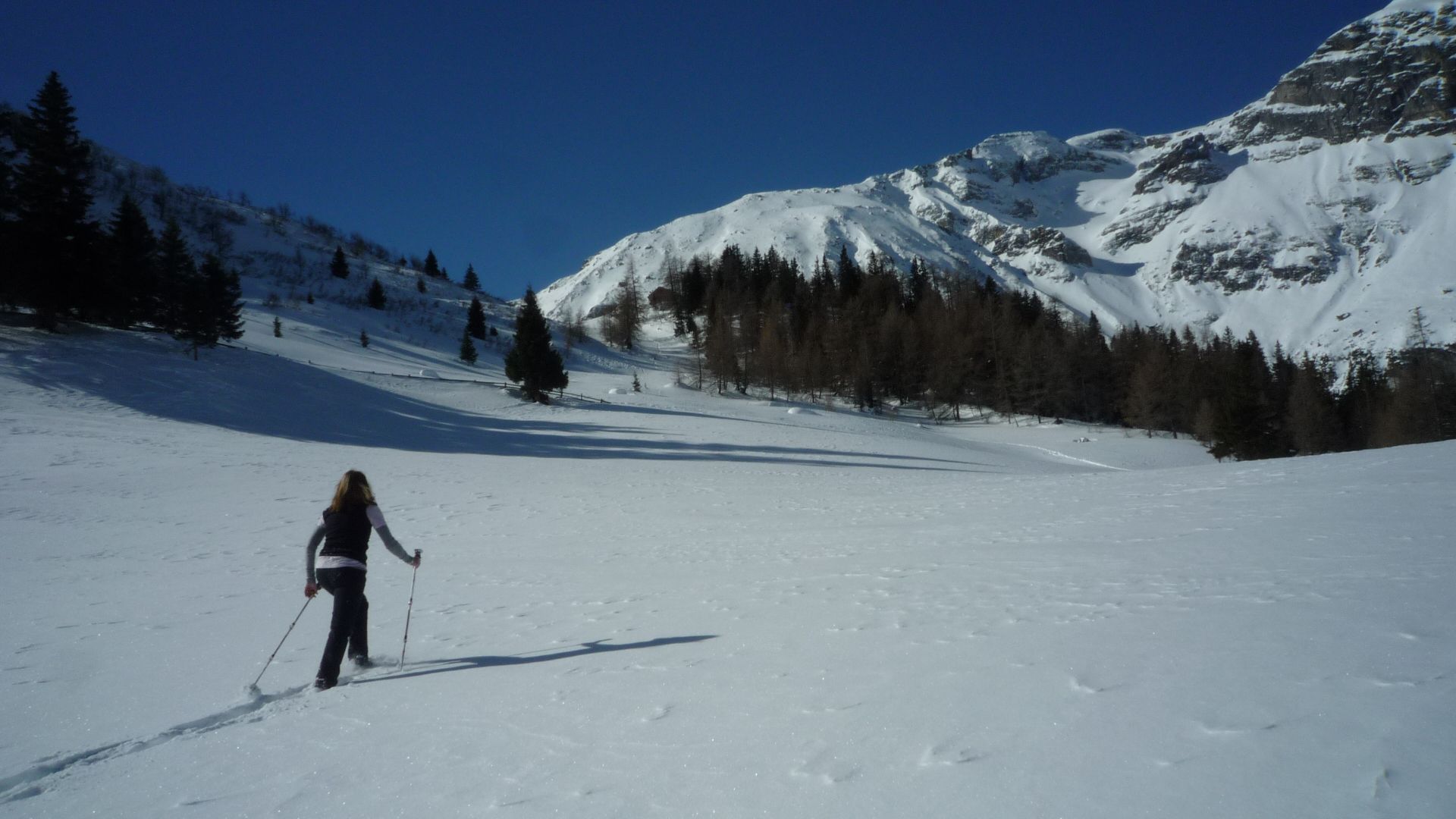 Schnee[-]schuh Wandern am Seefelder[-]Plateau